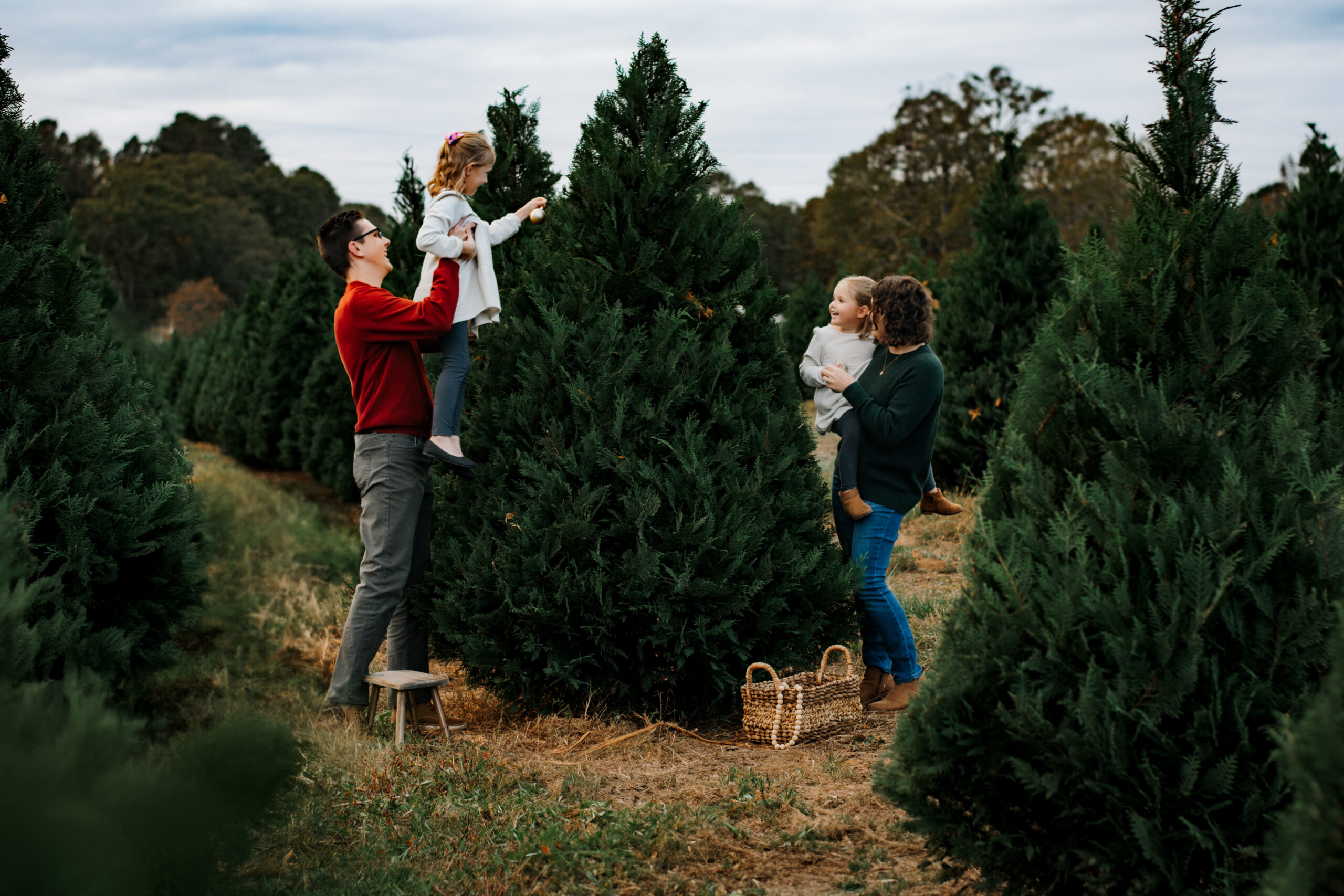 Family photos at Christmas tree farm