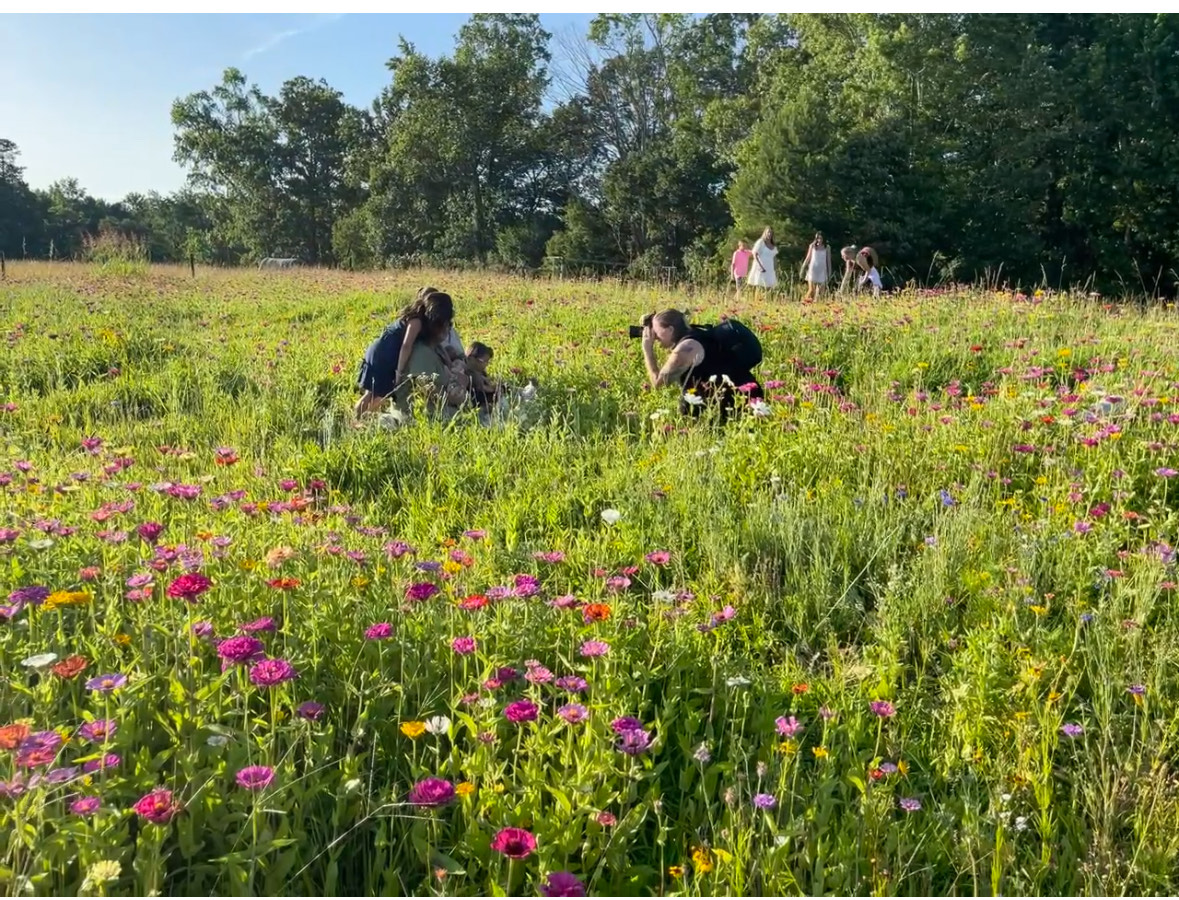 Photographer taking pictures in flower field